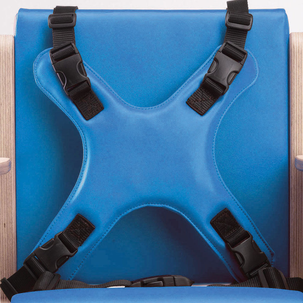 Heathfield Four Point Harness