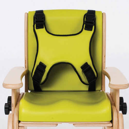 Juni Four Point Harness