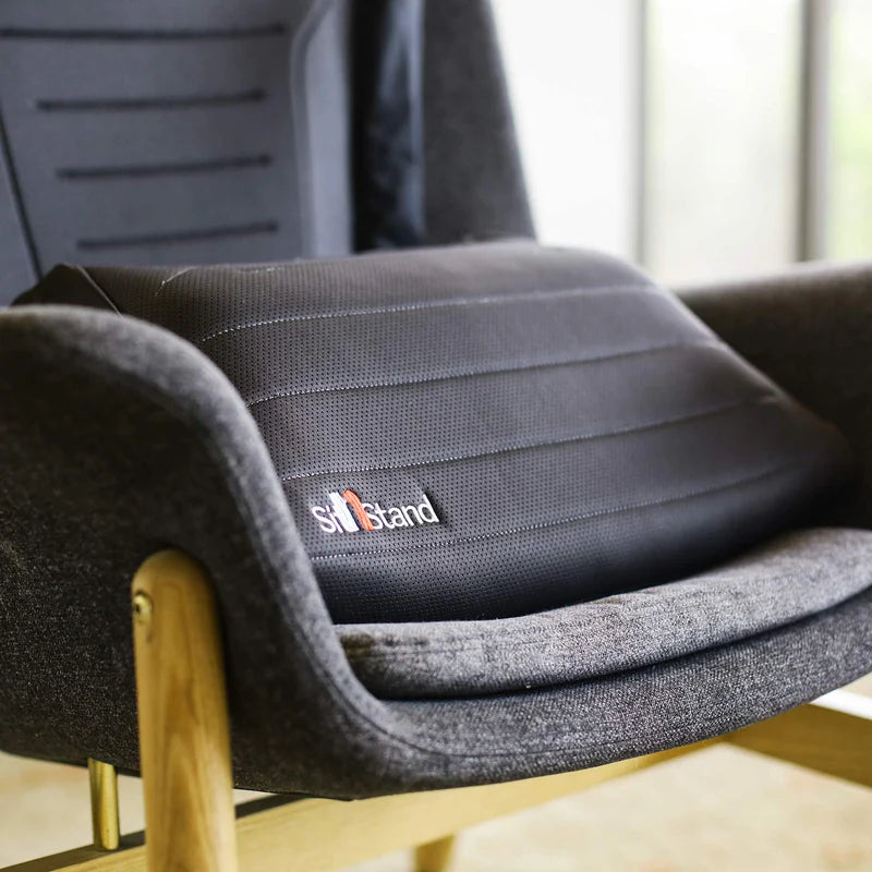 SitNStand Lift Assist Classic for Home