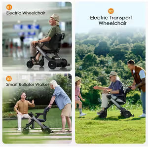 Paiseec 3-in-1 Electric Wheelchair W3