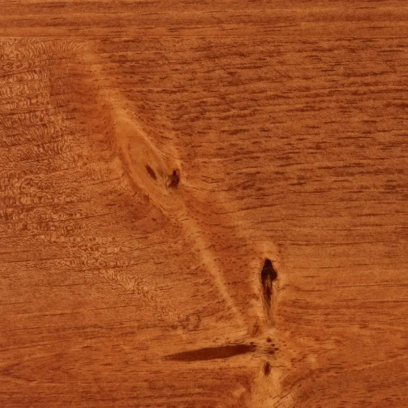 SelectCare Bed by Med-Mizer