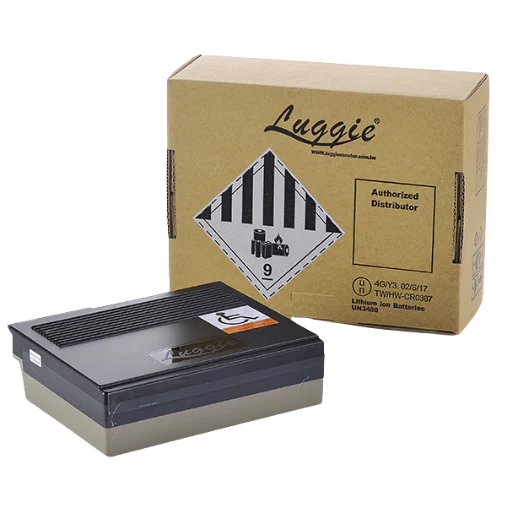 Luggie 16.5Ah Lithium-Ion Battery by Freerider – Extended Range Battery for Luggie Scooters