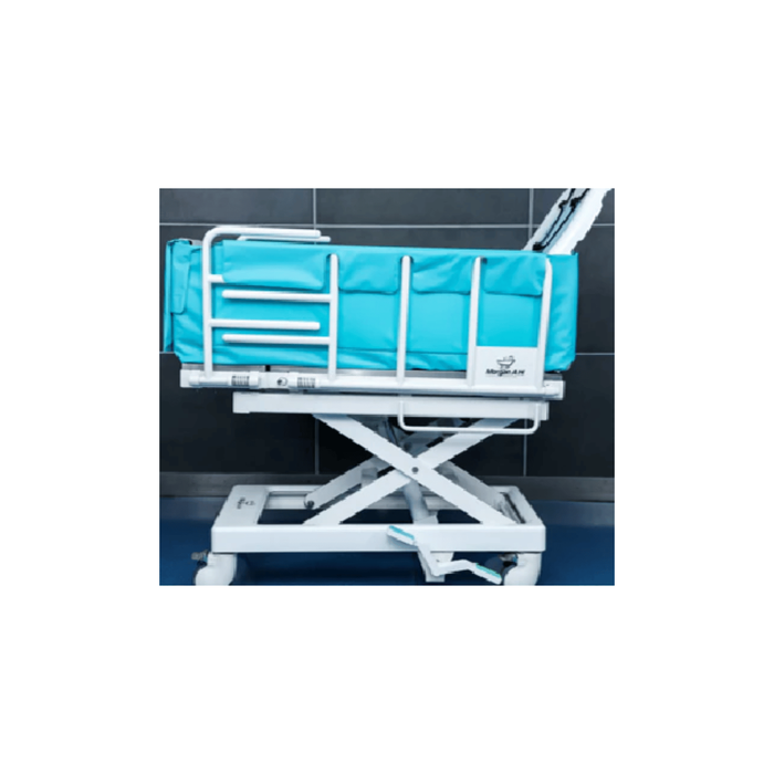 Rolling Expandable Bathtub