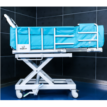 Rolling Expandable Bathtub