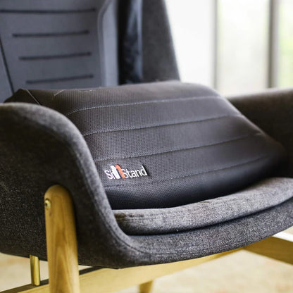 SitNStand Lift Assist Classic for Home