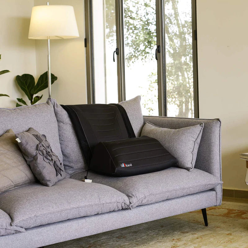 SitNStand Lift Assist Classic for Home