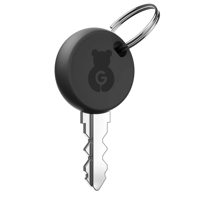 Paiseec D3 Spare Key